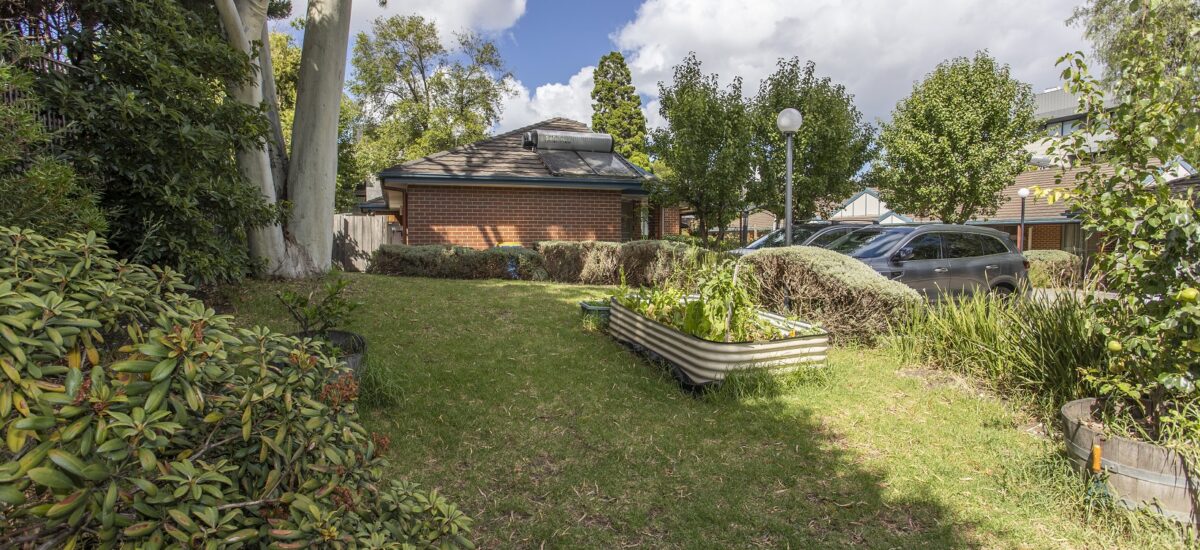 sideyard