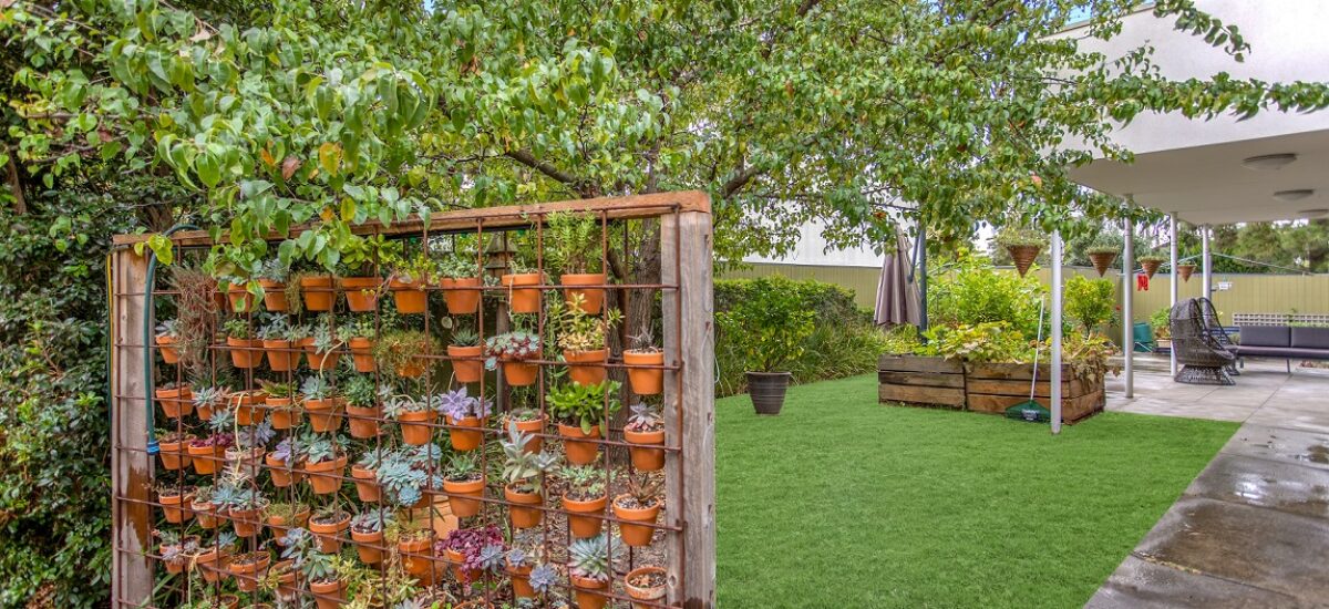 Feature wall of potted succulents leading to the backyard of an SDA home
